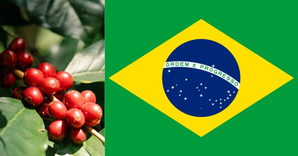 ブラジルの国旗とコーヒーの実