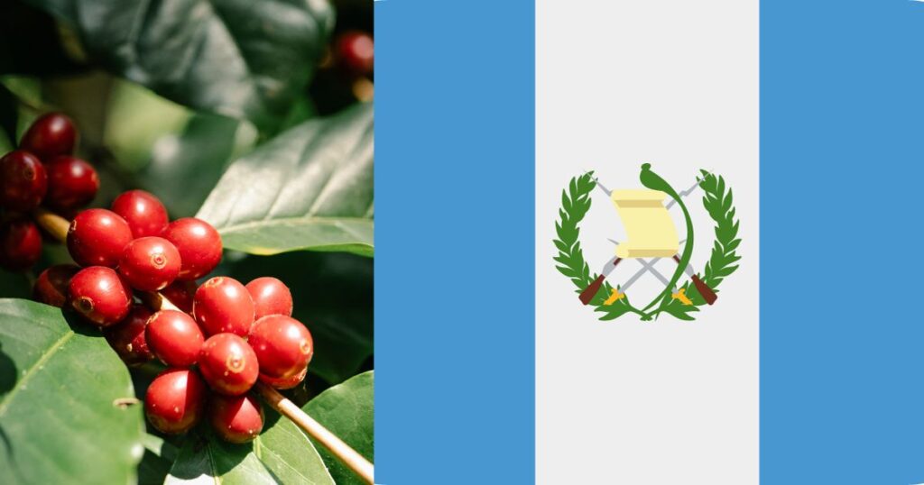 グアテマラの国旗とコーヒーの実